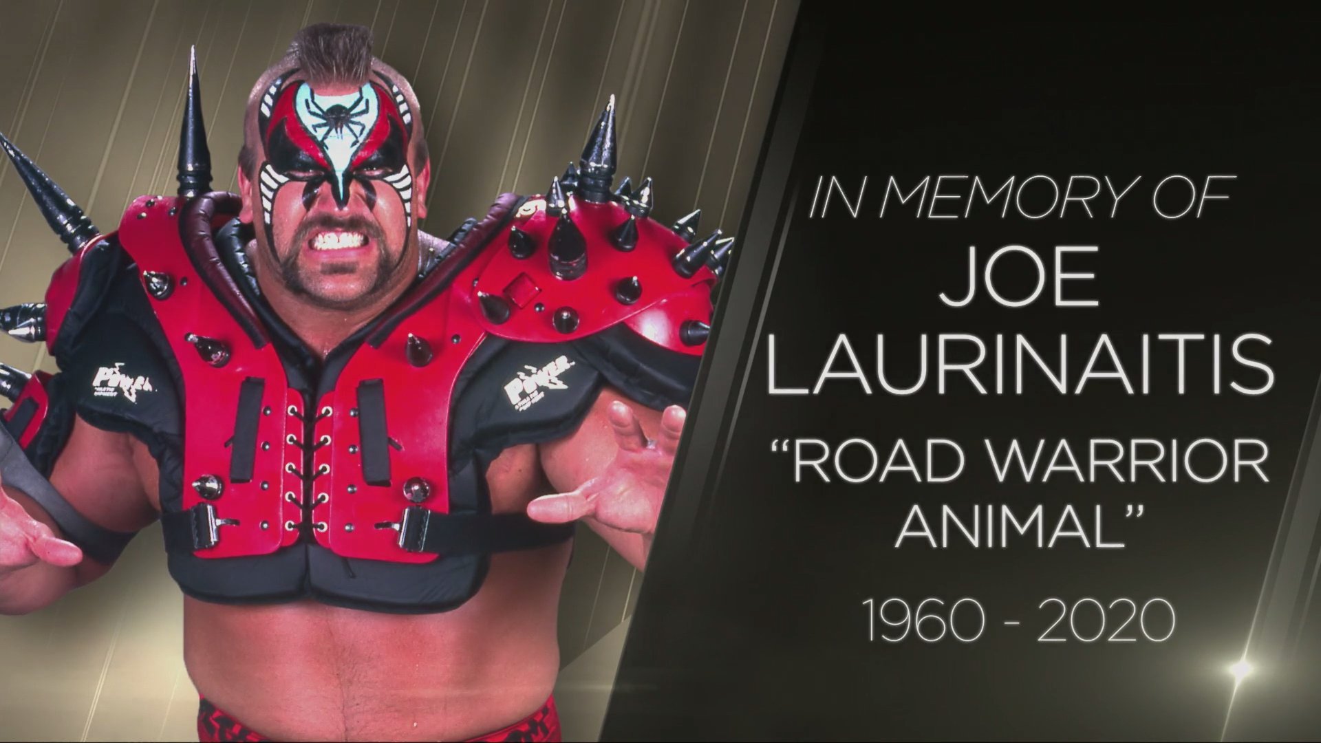 New Road Warrior Animal Shirt to Benefit Family, LeBron James and Others  Remember Animal, Animal Tributes on AEW Dynamite