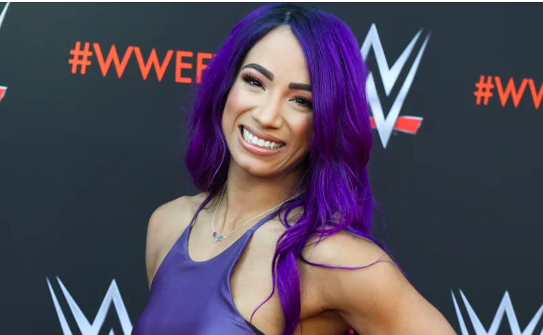 Wwe Sasha Banks Porn - Sasha Banks Says She's Not Interested In Reality TV, Does Think Total Divas  Is Good Thing For WWE Universe
