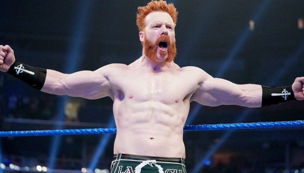 Sheamus On If He Thinks Conor McGregor Will Wrestle For The WWE