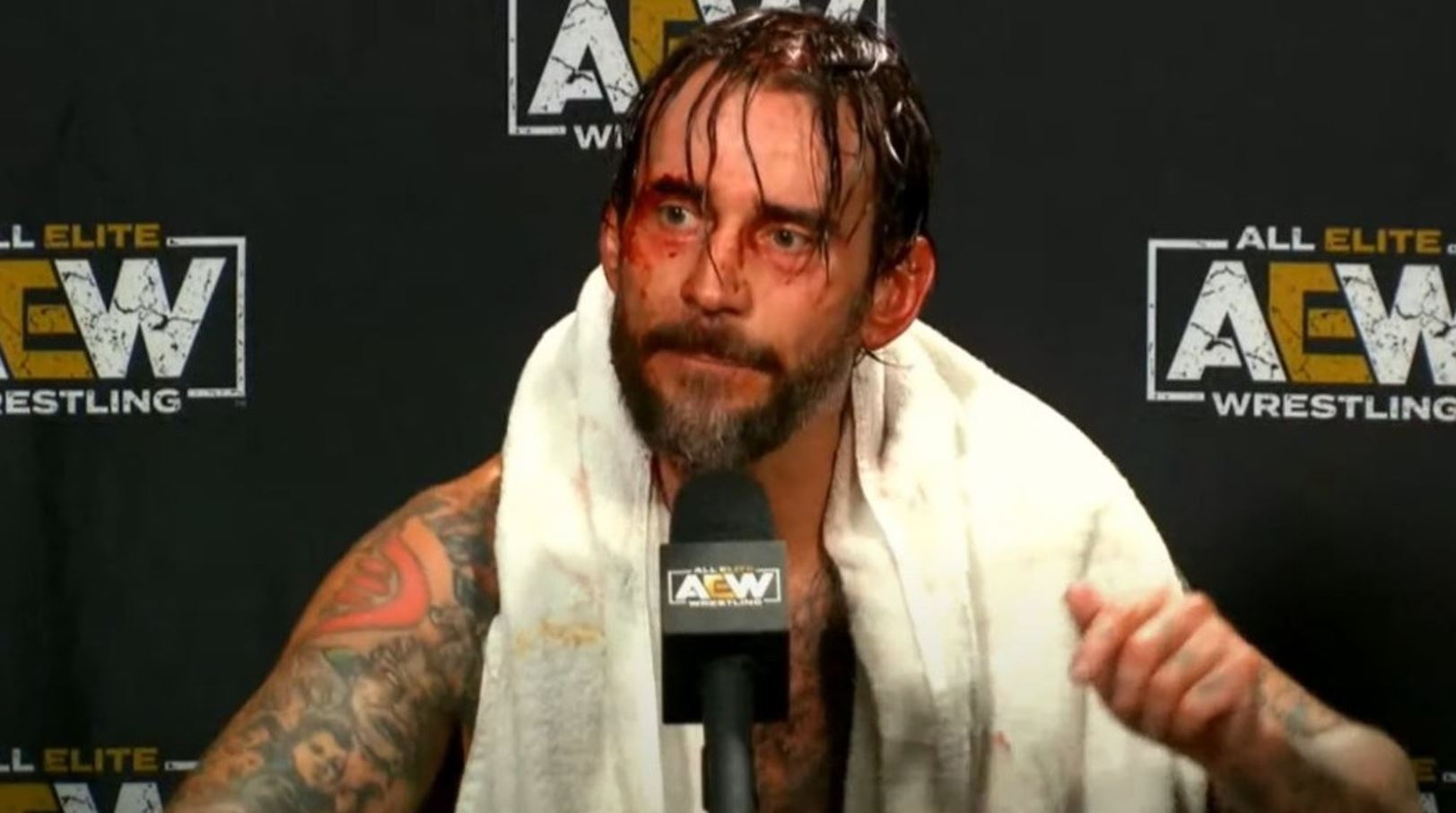 CM Punk Officially Retires From MMA After Joining AEW - WrestleTalk
