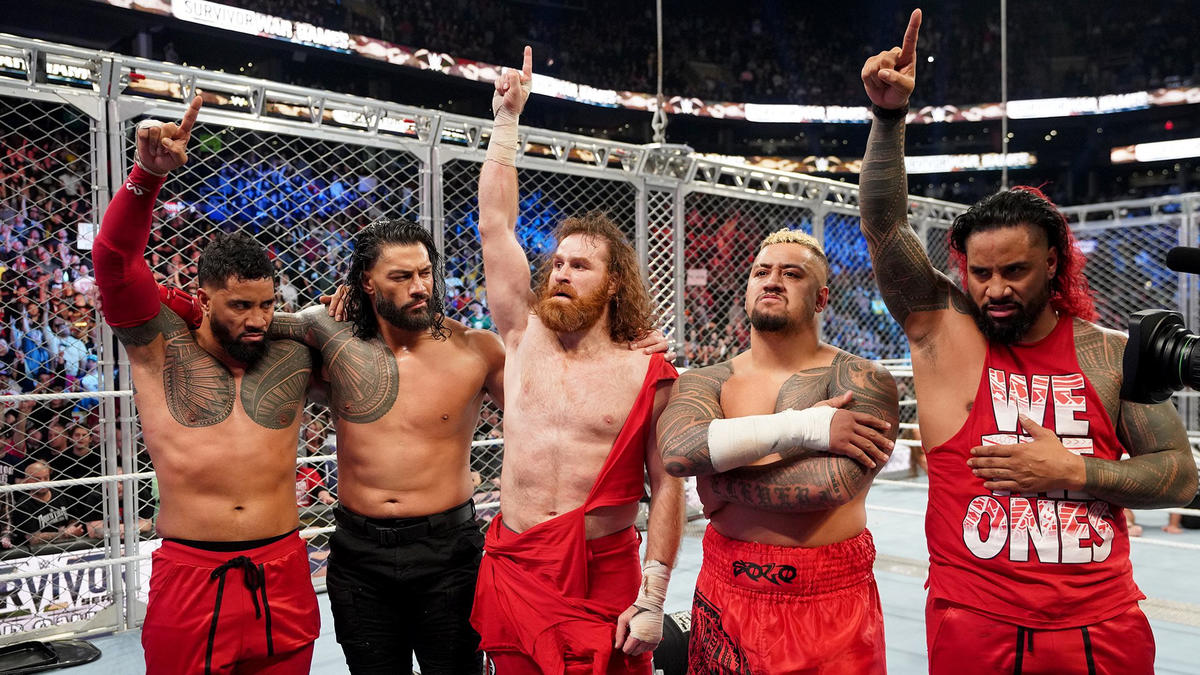 beruset gås er nok Why Roman Reigns Didn't Wear Red with The Bloodline at WWE Survivor Series