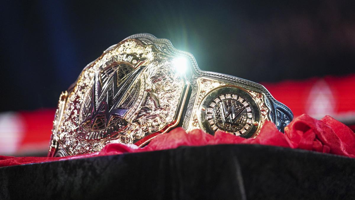 WWE Night of Champions 2011, Results