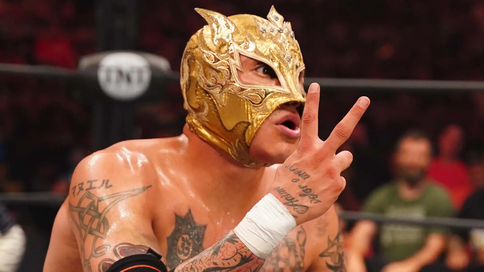 https://wrestlingheadlines.com/wp-content/uploads/2024/12/01-rey-fenix-aew-2.jpg